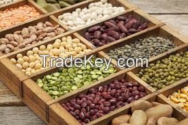 KIDNEY BEANS, GREEN MUNG BEANS, SOYBEANS, RED LENTILS, CHICKPEAS