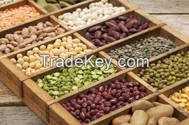 KIDNEY BEANS, GREEN MUNG BEANS, SOYBEANS, RED LENTILS