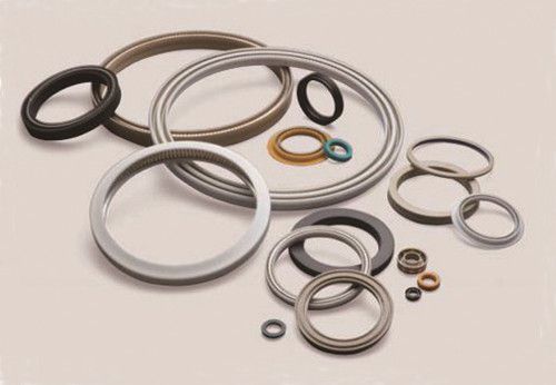 Hydraulic and Pneumatic Seals