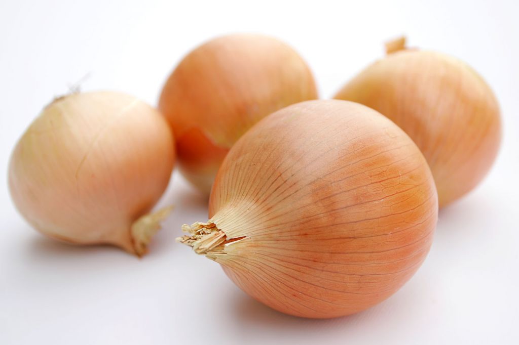 Onion