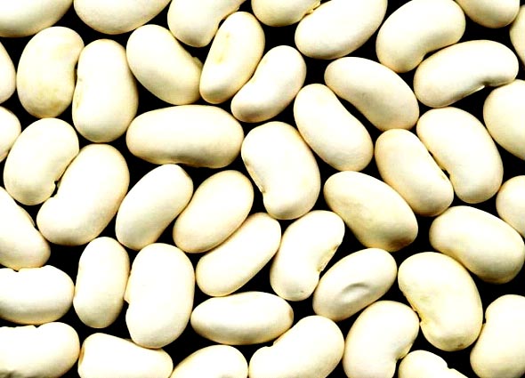 white kindney beans