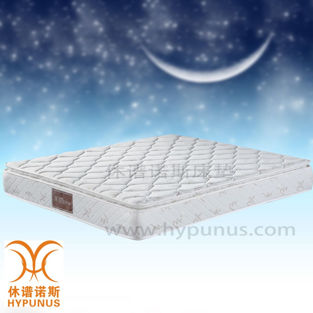 Hypunus High Resiliency Foam Plush Pillow Top Mattress Inner Spring X003