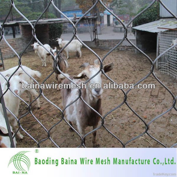 Hot Sale Stainless Steel Wire Zoo Mesh