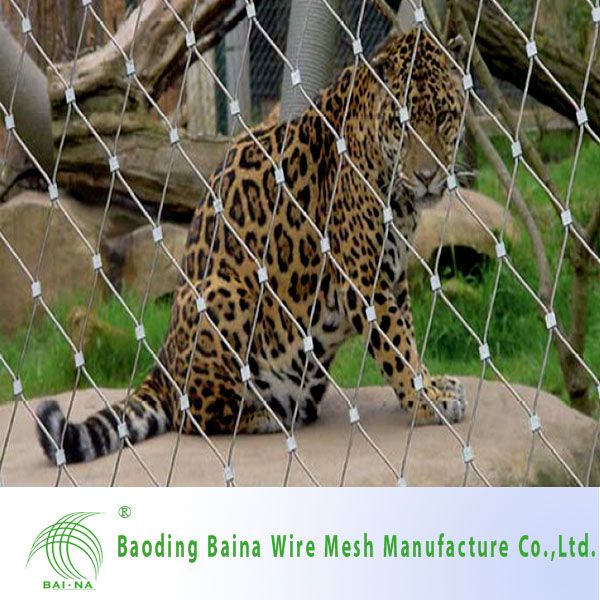 Fessional For Sale Stainless Steel aviary Mesh