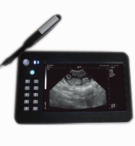 handhold veterinary USG/ultrasound scanner