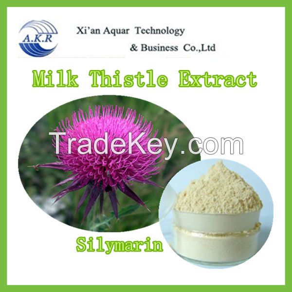 100% natural milk thistle extract silymarin