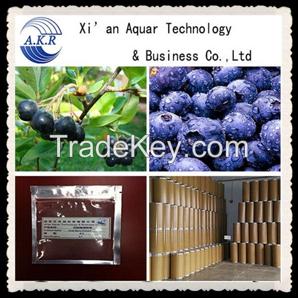 100% natural acaiberry extract