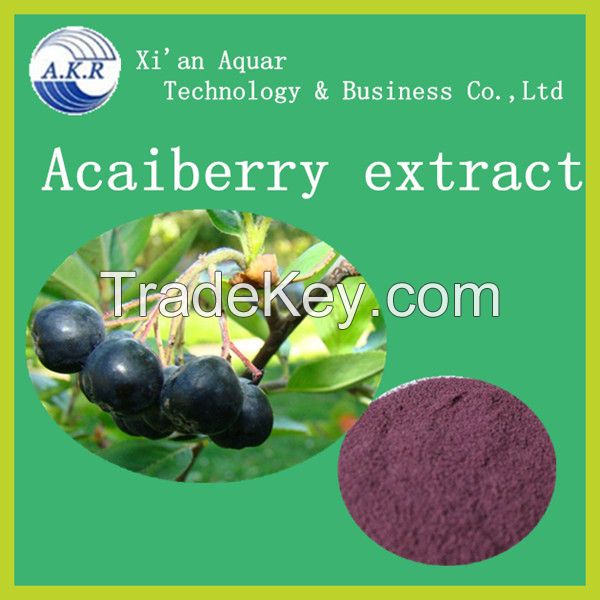 100% natural acaiberry extract powder