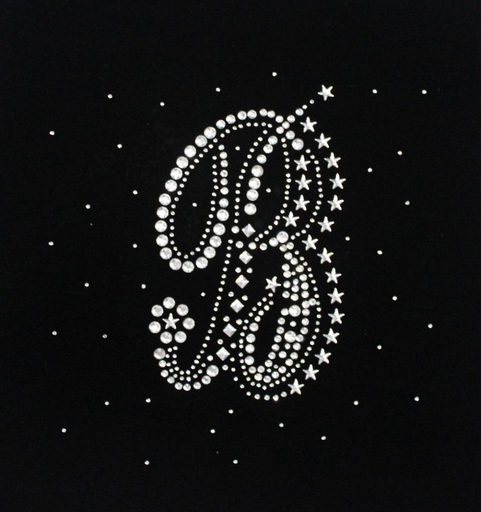 Rhinestones motif, hot fix motif,customized are accepted use for t shirt,hoody