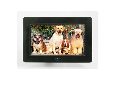 Digital photo frame