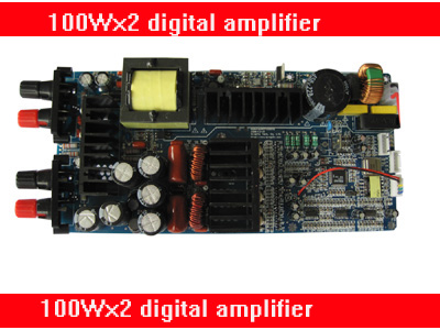 professional amplifier module with power supplier