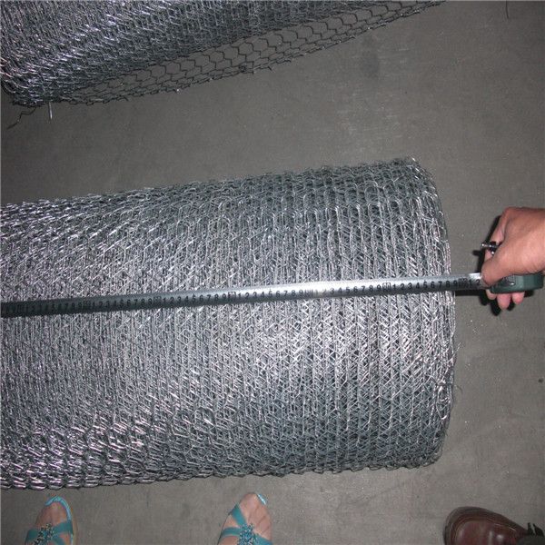 Hot Sale PVC Coated Iron Wire Gabion mesh