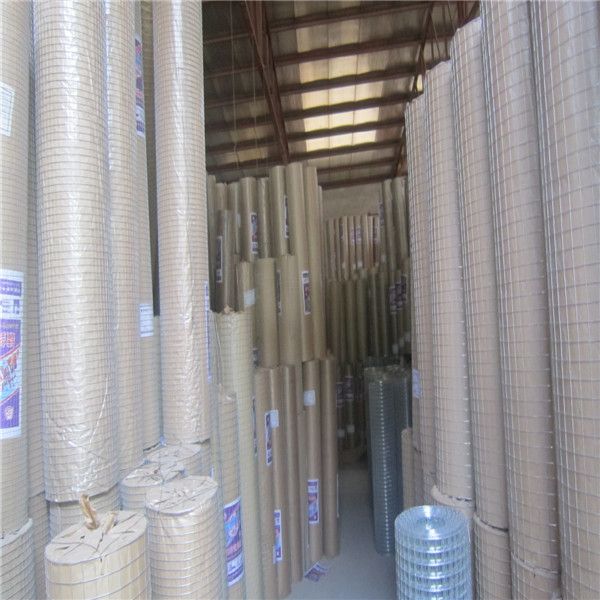 China Export Hot Dip Gal. Welded Iron Wire Mesh