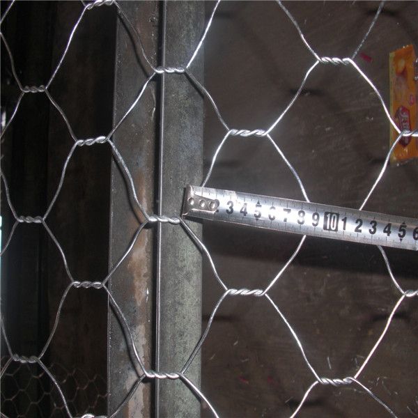 Hot Sale PVC Coated Iron Wire Gabion mesh