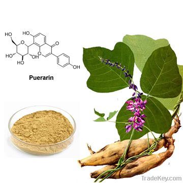 Puerariae Extract Isoflavons40% Puerarin 15%