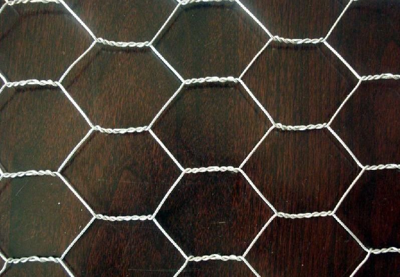 Stainless Steel Hexagonal Wire Netting