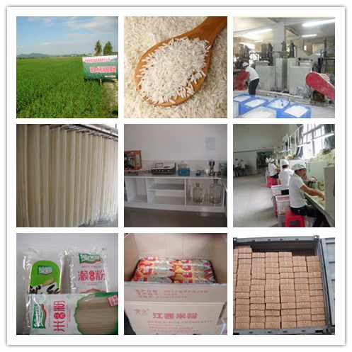 High Quality Dry Rice Vermicelli/Noodles/Spaghetti