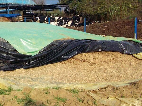 Silage covers