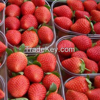 we offer fresh strawberry