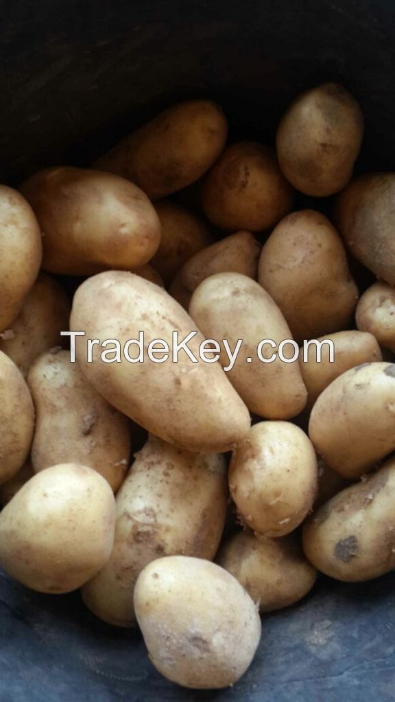 we offer potatoes