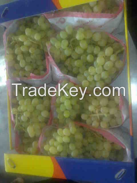 we offer grapes