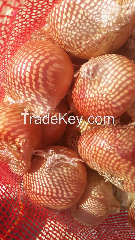 we offer fresh onions