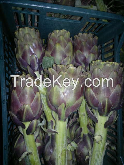 we offer Frozen artichoke