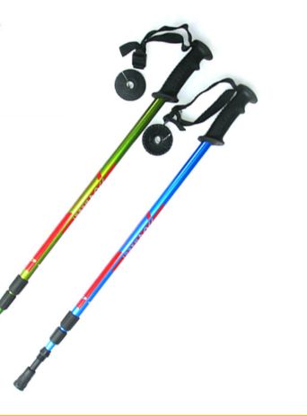 nordic walking stick