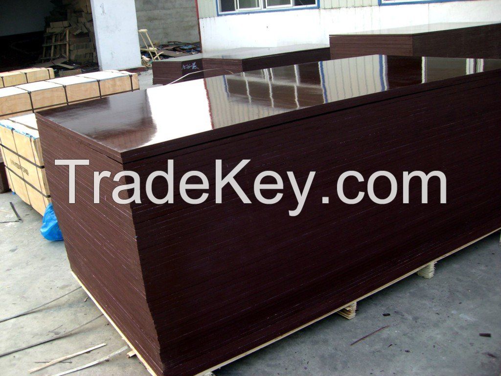 4x8/ 5x10 hardwood core film faced plywood