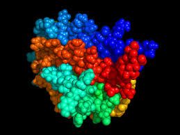 NEPHROLOGY RECOMBINANT HUMAN ERYTHROPOIETIN INJECTION