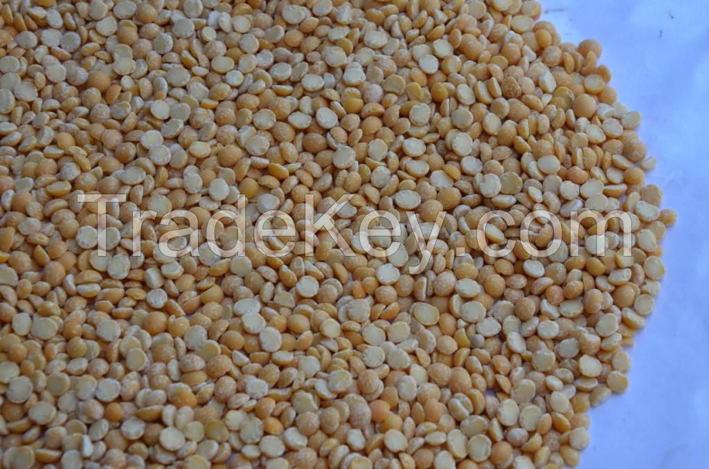 split yellow peas