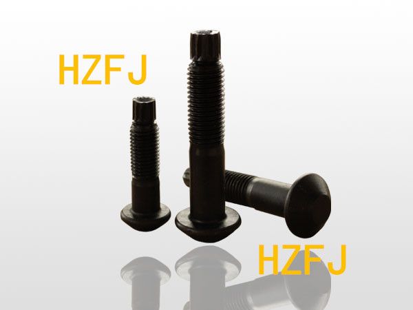 Torsion & shear type high strength bolt