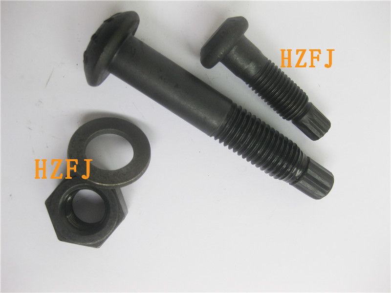 Torsion & shear type high strength bolt