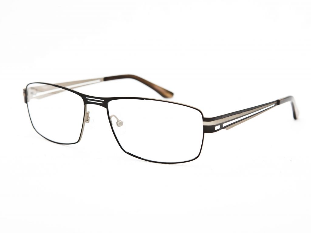 Men Stainless Steel Eyewear Frames