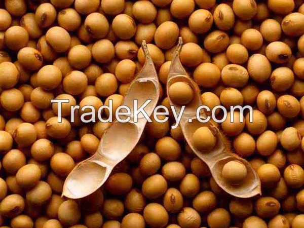 Soya beans