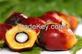 Palm oil