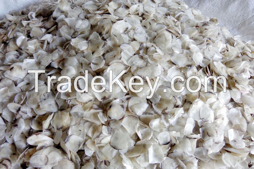 Dried Fish Scales