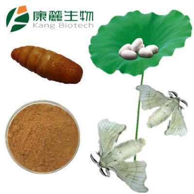 Male Silk Moth Extract (Sexual Supplement For Men)