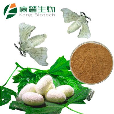 Male Silk Moth Extract (Sexual Supplement For Men)