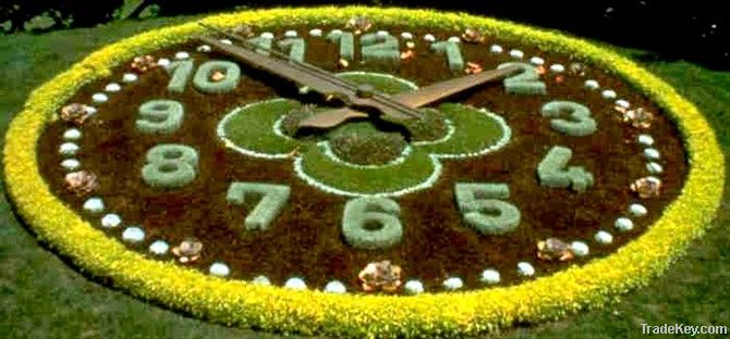 garden clock