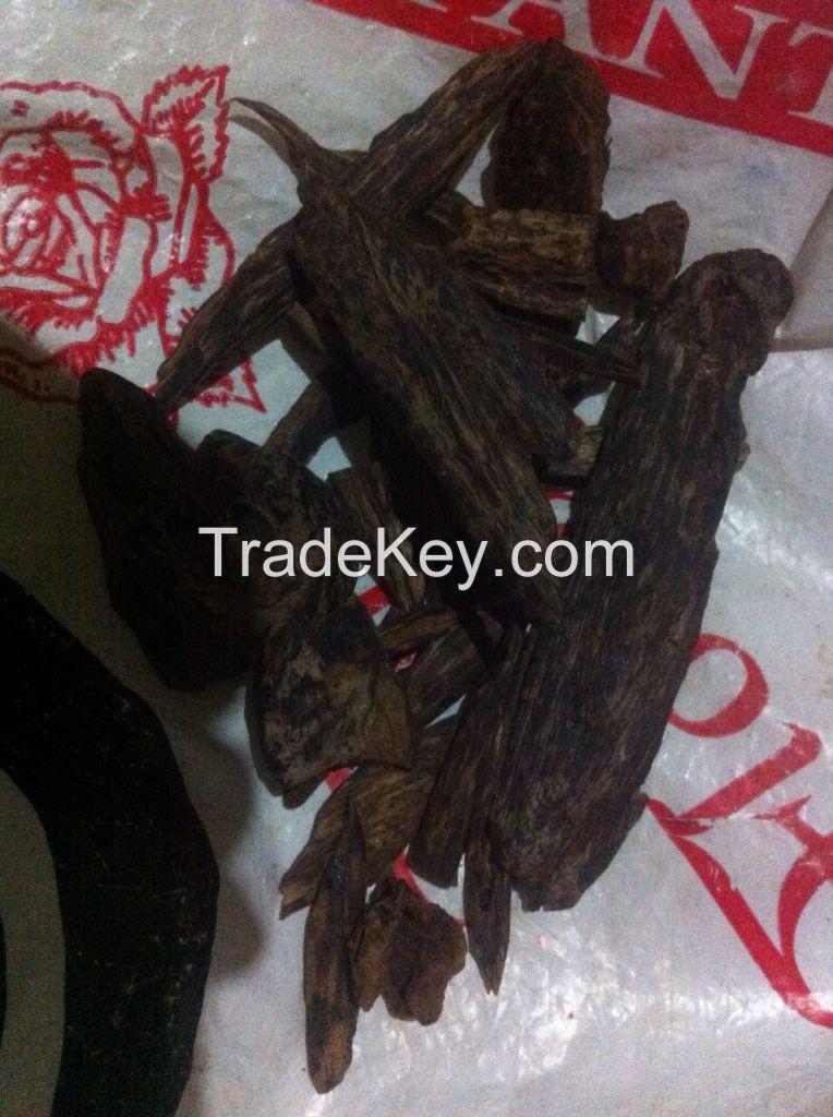 Agarwood/ Ouwood 