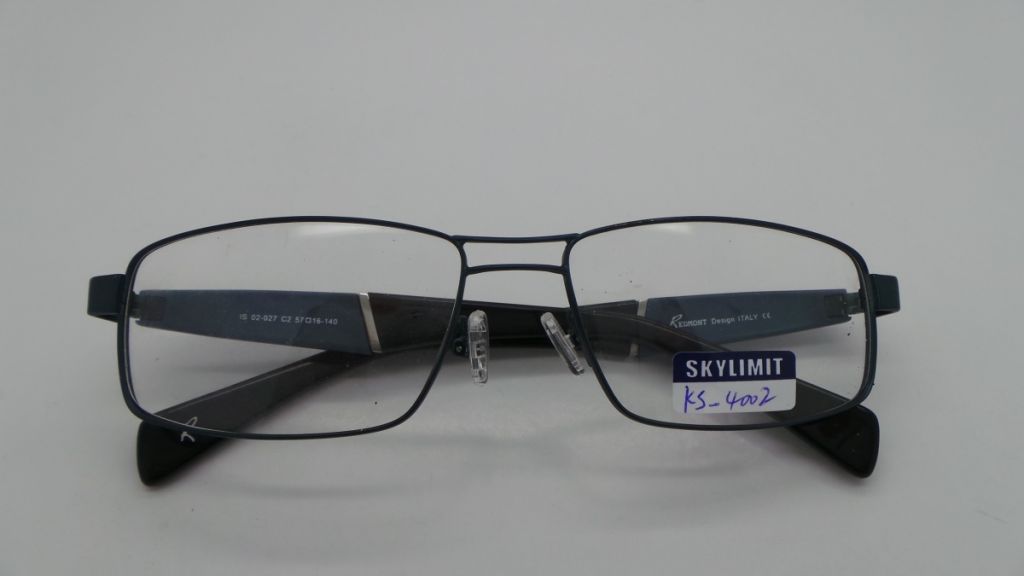 Stainless Steel Designer Eyewear Frames