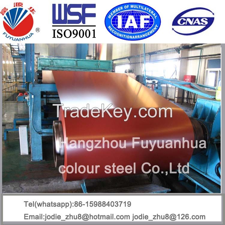 galvanized Color Steel sheet / Coils 