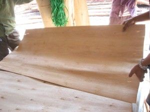 Vietnam Eucalyptus Core Veneer