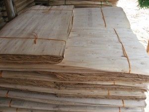 Vietnam Eucalyptus Core Veneer