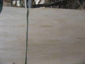 Vietnam Eucalyptus Core Veneer