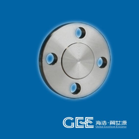 Stainless Steel  Blind Flanges