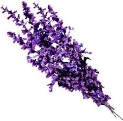 Natural Lavender essential oil