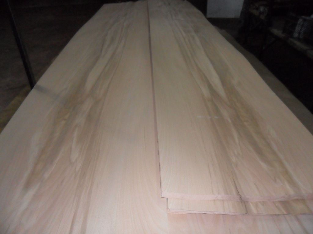 Beech back side veneer