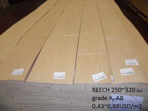 Beech wood veneer 